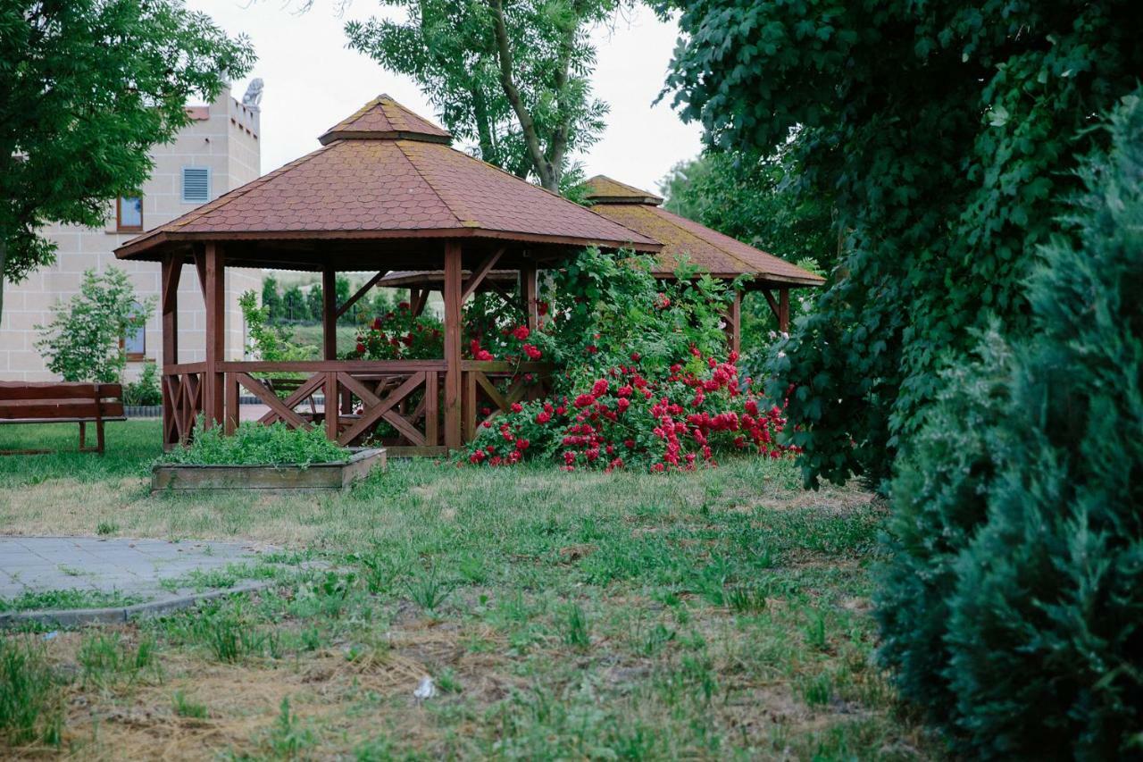 Palac Koronny Noclegi & Wypoczynek Wodzisław Esterno foto
